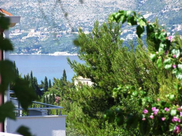 Kipre 2 Appartement *